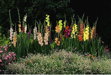 更流畅的游戏体验！KK对战平台地图增量更新功能正式上线